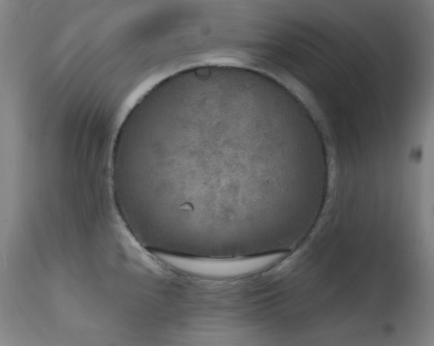 X0000111461240200907131447