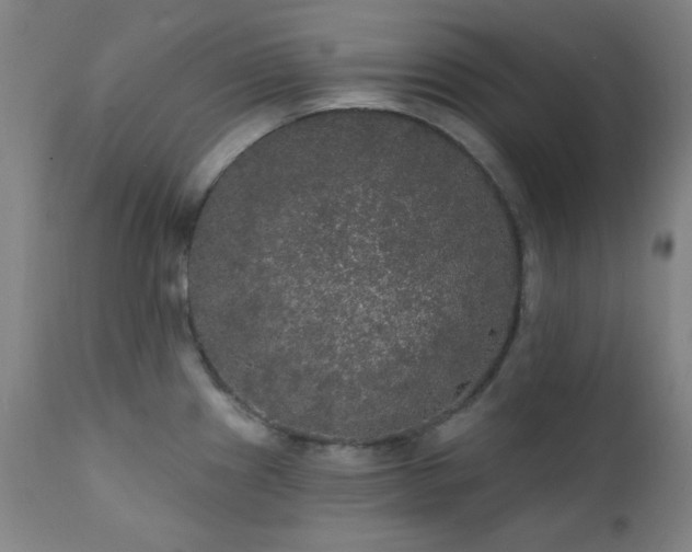X0000111461241200907131447