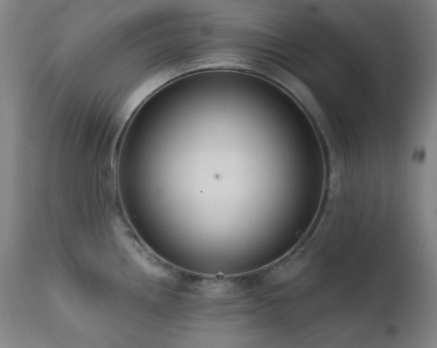 X0000111461242200907131447