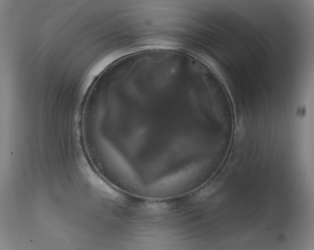 X0000111461243200907131447