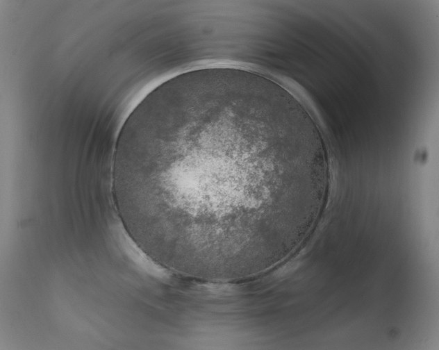 X0000111461244200907131447
