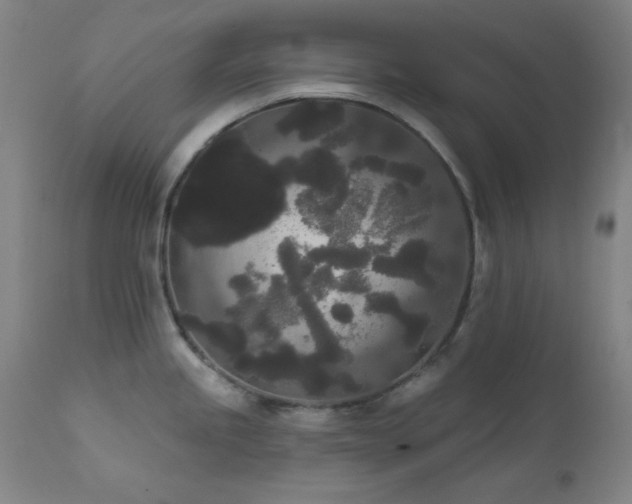 X0000111461245200907131447