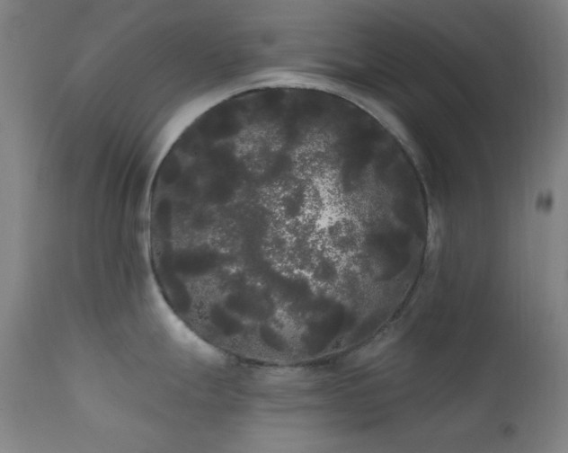 X0000111461247200907131447