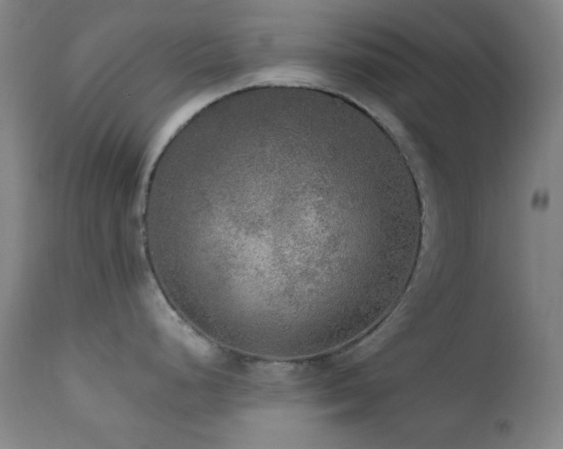 X0000111461248200907131447