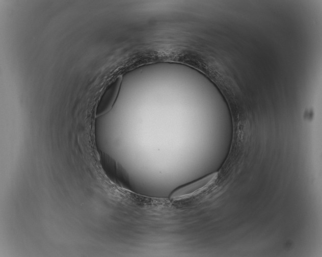 X0000111461249200907131446