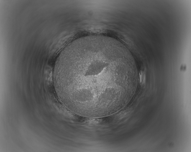 X0000111461251200907131446