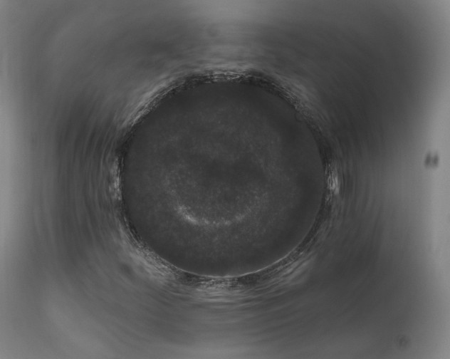 X0000111461252200907131446