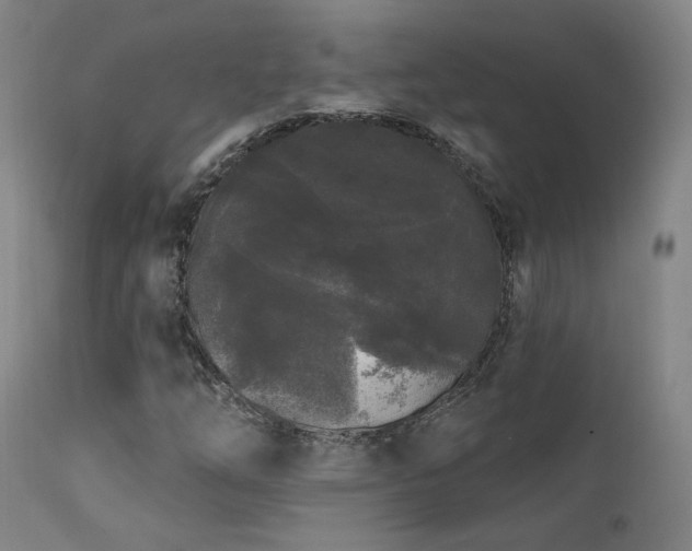 X0000111461254200907131446