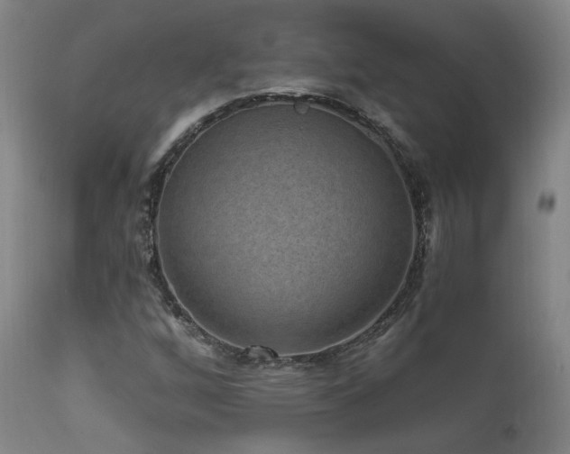 X0000111461256200907131446