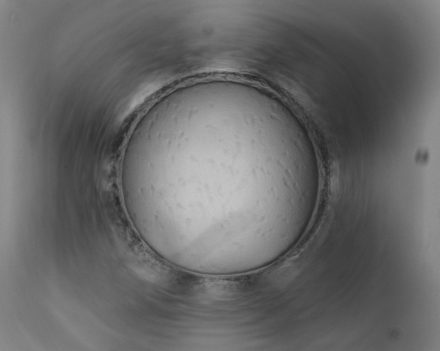 X0000111461258200907131446