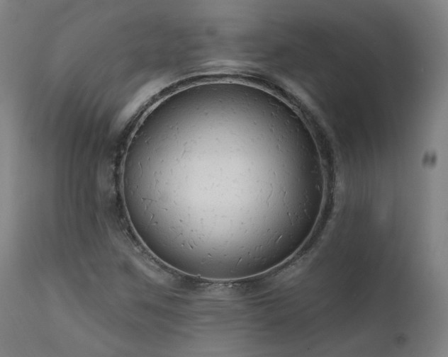 X0000111461259200907131446