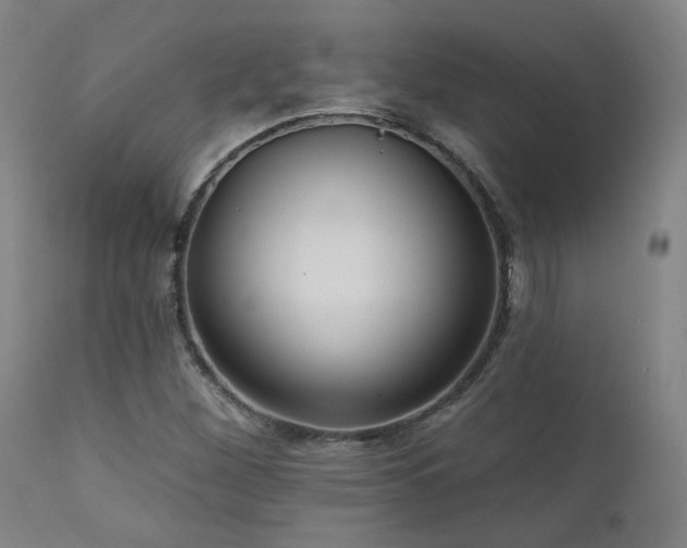 X0000111461260200907131446