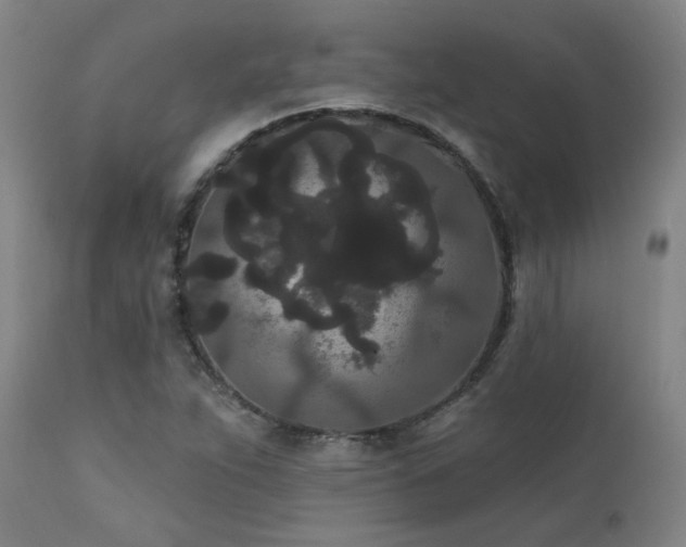 X0000111461263200907131446