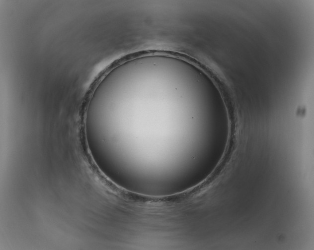 X0000111461264200907131446