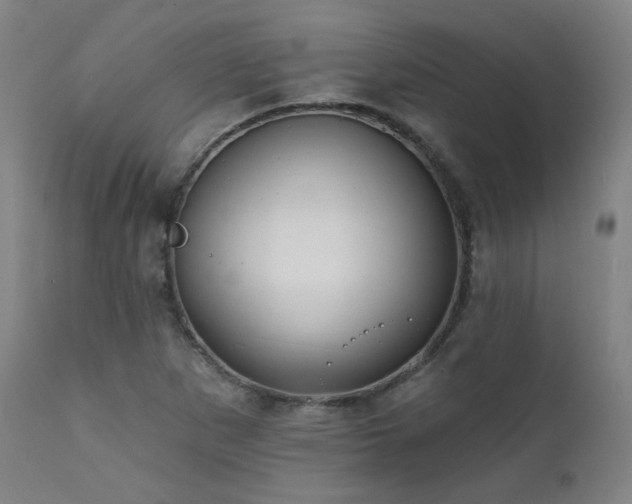 X0000111461265200907131446