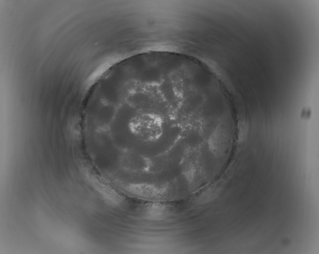 X0000111461266200907131446