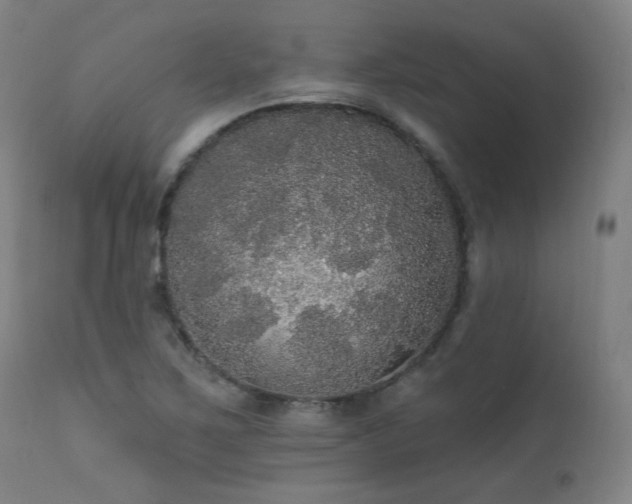 X0000111461267200907131446
