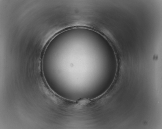 X0000111461268200907131446