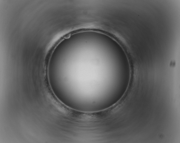 X0000111461270200907131446