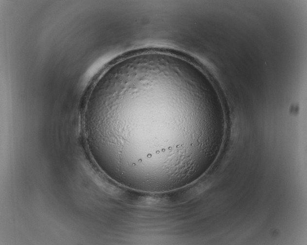 X0000111461271200907131446