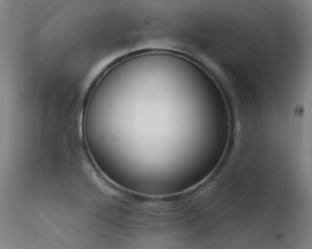 X0000111461272200907131446