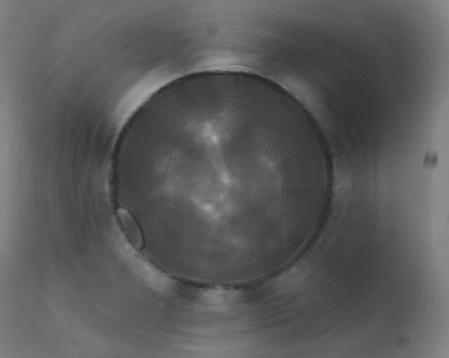 X0000111461277200907131446