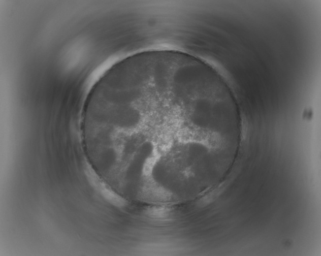 X0000111461278200907131446