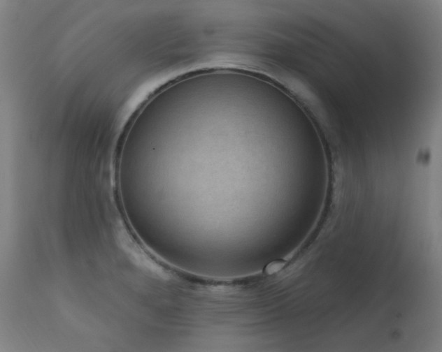 X0000111461280200907131446
