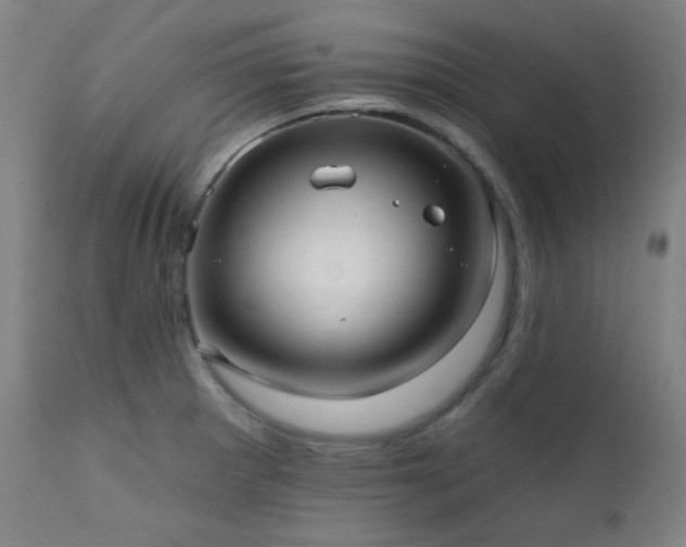 X0000111461281200907131446