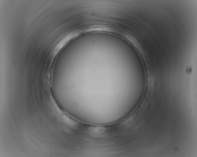 X0000111461282200907131446