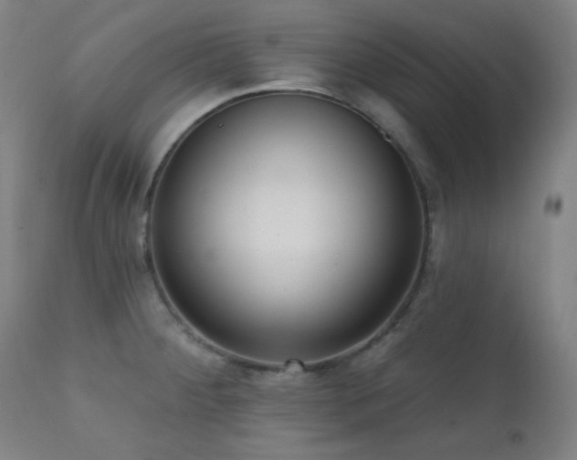 X0000111461284200907131446