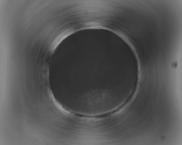 X0000111461289200907131446
