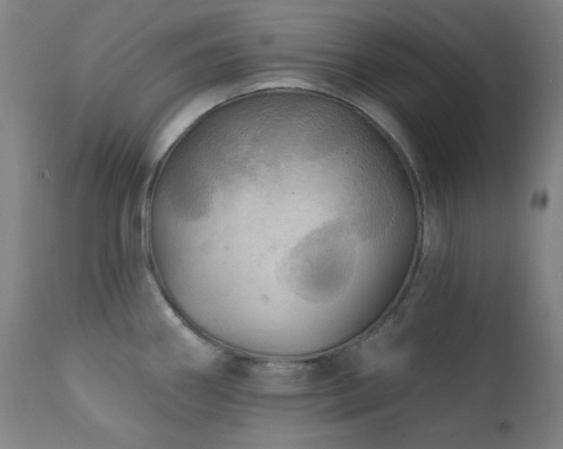 X0000111461290200907131446