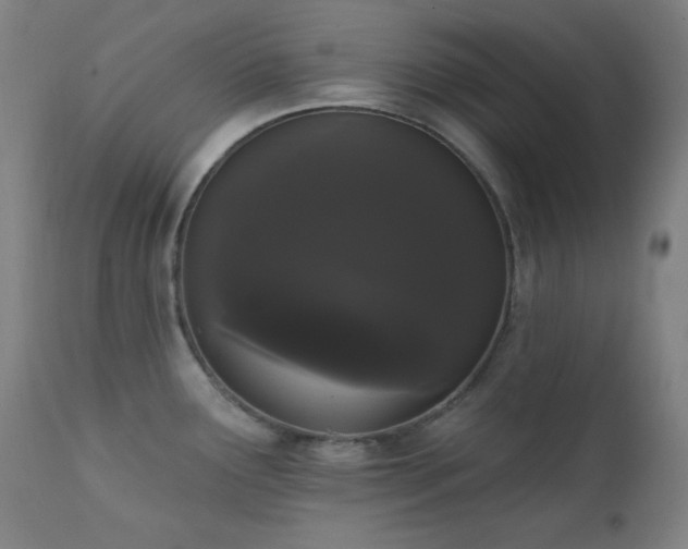 X0000111461291200907131446