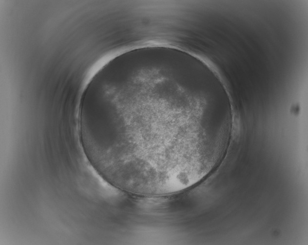 X0000111461294200907131446