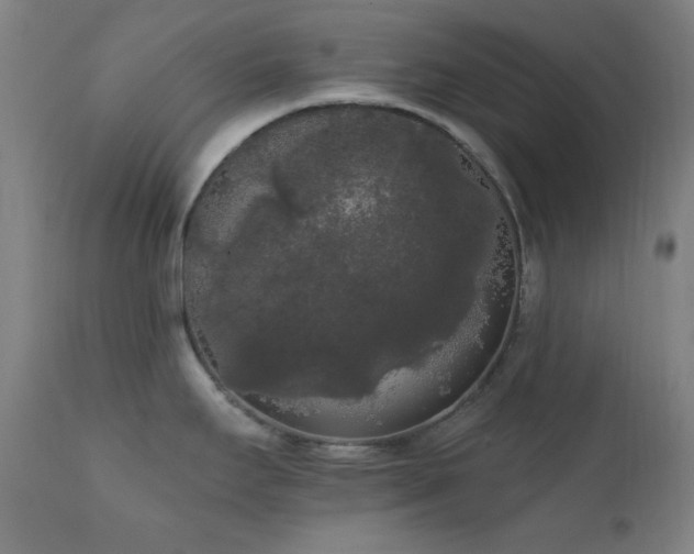 X0000111461295200907131446