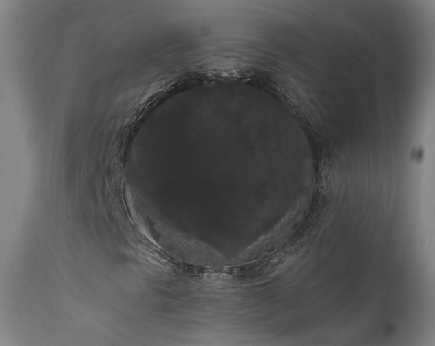 X0000111461297200907131445