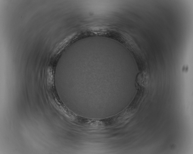 X0000111461298200907131445