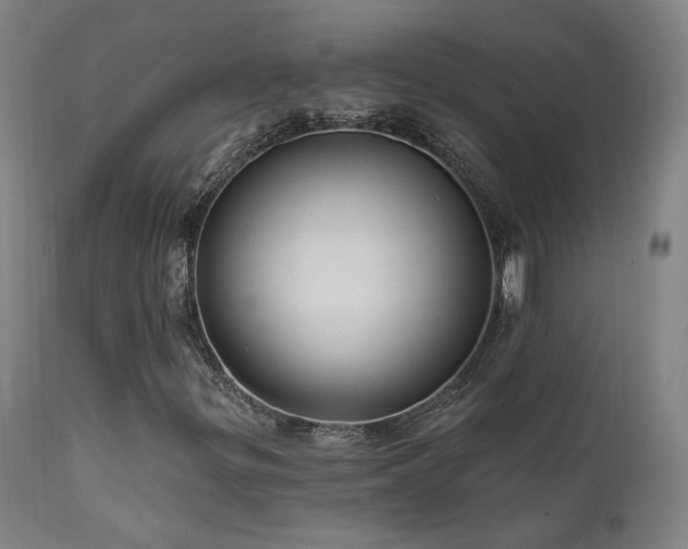 X0000111461299200907131445