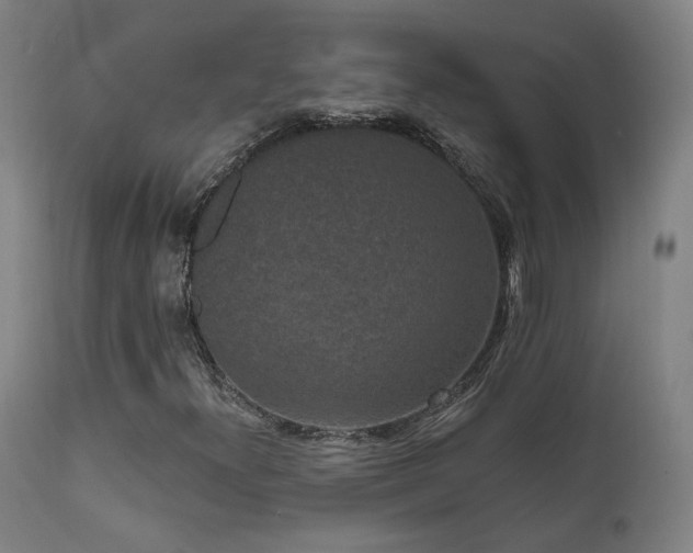 X0000111461300200907131445