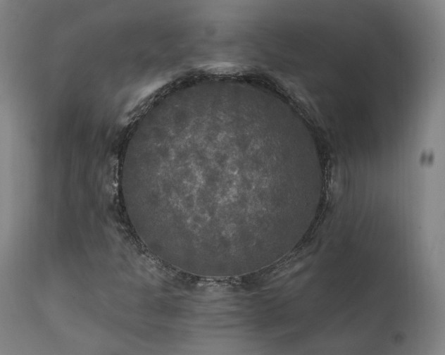 X0000111461301200907131445