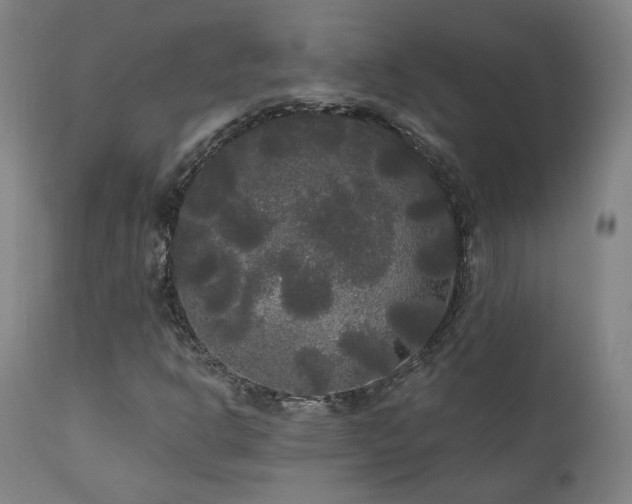 X0000111461302200907131445