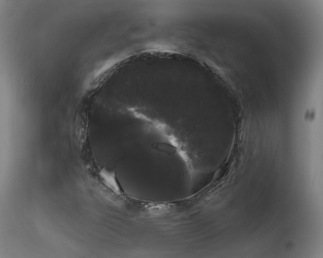 X0000111461303200907131445