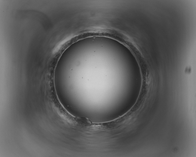 X0000111461304200907131445