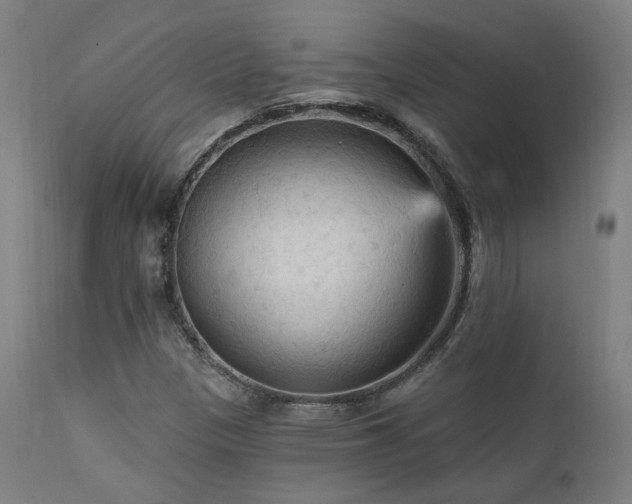 X0000111461305200907131445