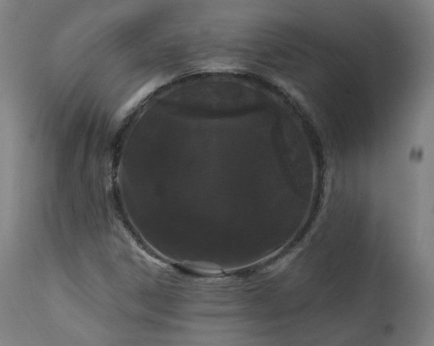 X0000111461306200907131445