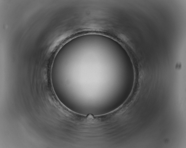 X0000111461307200907131445