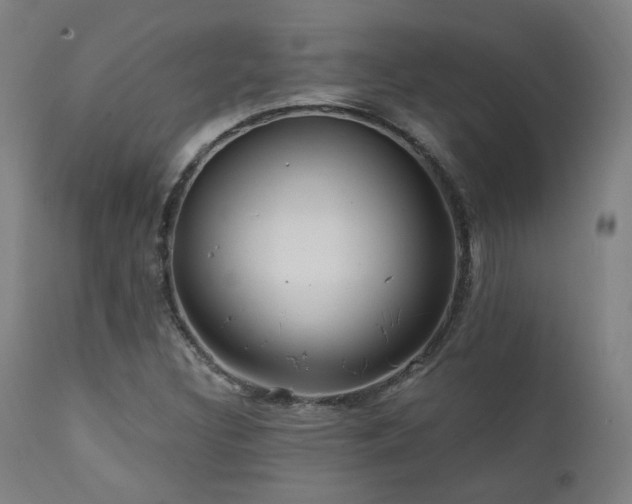 X0000111461308200907131445