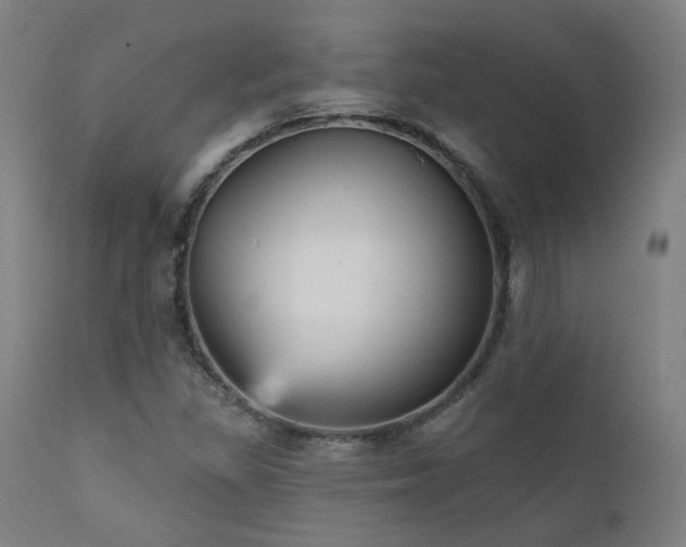 X0000111461309200907131445