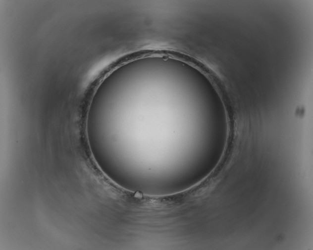 X0000111461311200907131445